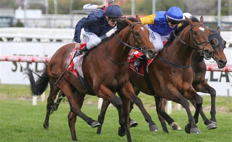pb lawrence stakes field